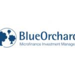 Blue Orchard